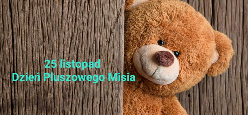 Dzień pluszowego misia 2022