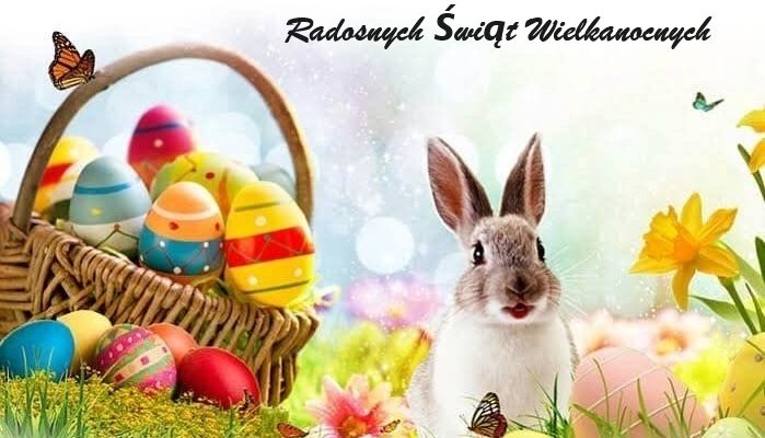 Radosnych Świąt Wielkanocnych 🐤 🐇🐤 🐇🐤